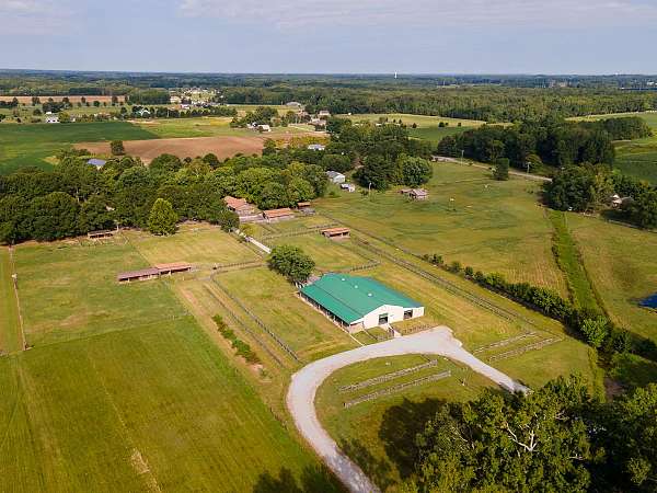 equine-acreage-with-home-in-elkmont-al