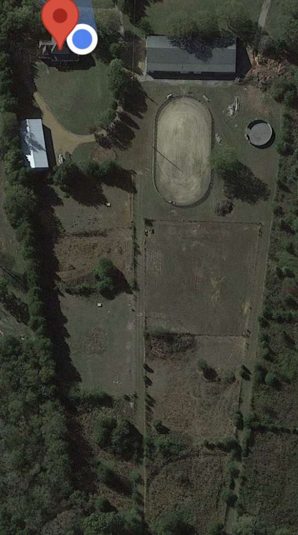 Horse property, you could have it all!