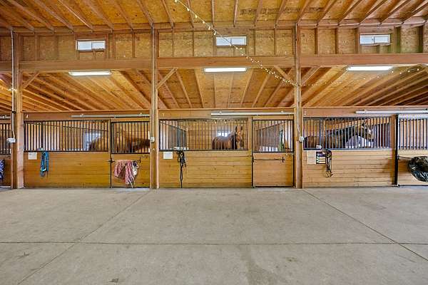 equine-properties-for-sale-in-peyton-co