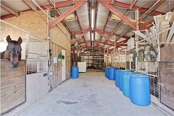 equine-horse-property-in-flower-mound-tx