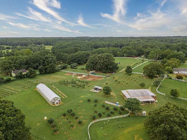 equine-horse-property-in-snellville-ga