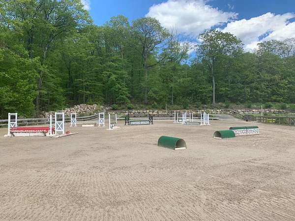 equine-properties-for-sale-in-west-milford-nj