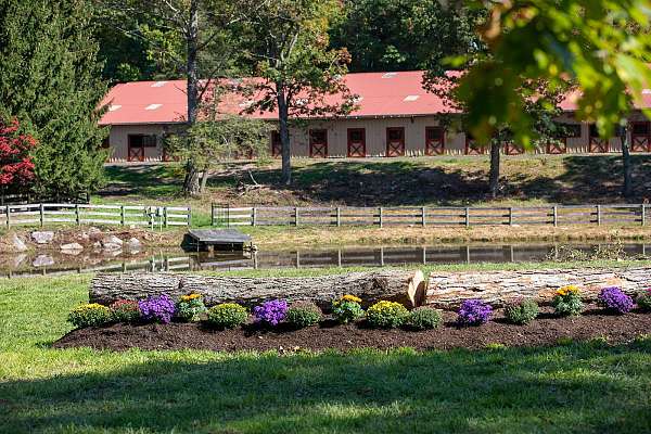 equine-horse-property