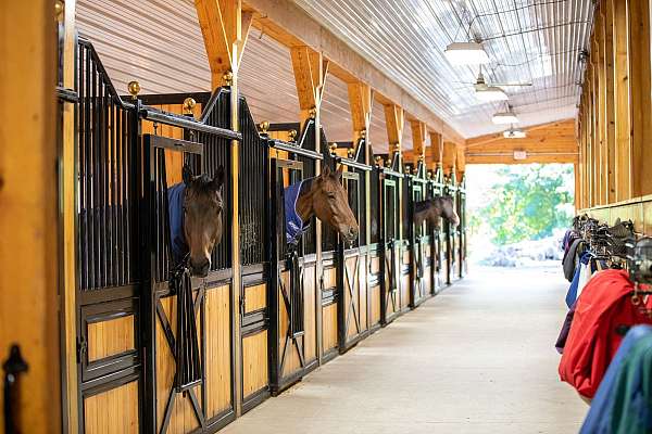 equine-horse-property-in-west-milford-nj