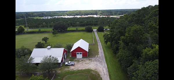 equine-horse-property