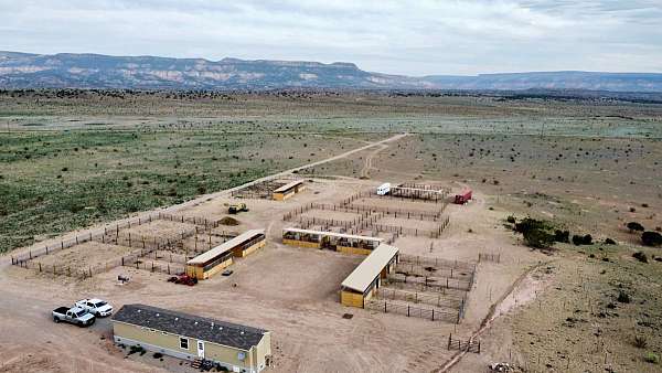 equine-properties-for-sale-in-youngsville-nm