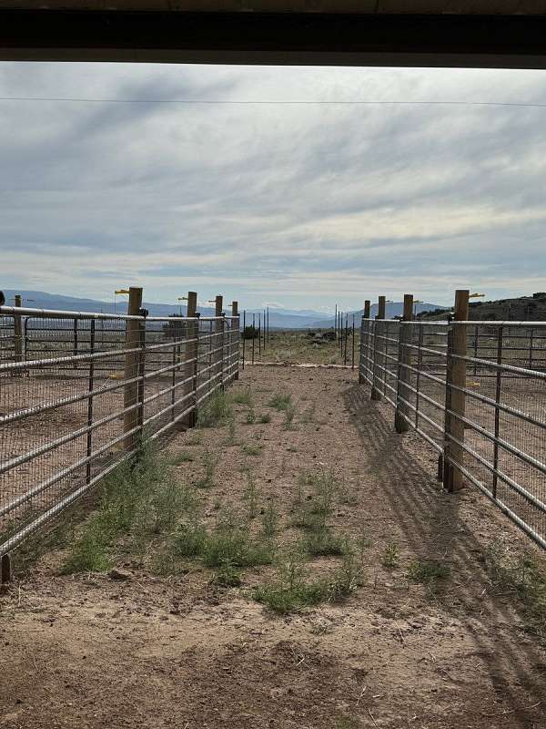 2-bedroom-equine-horse-property