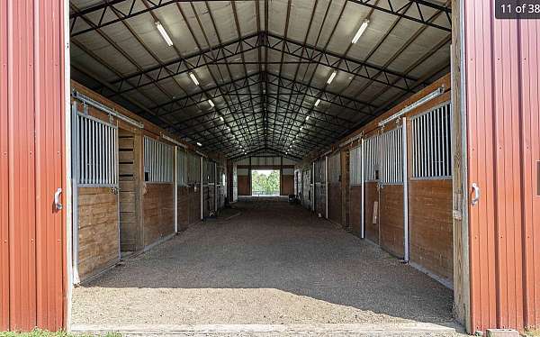 equine-horse-property-in-alabama