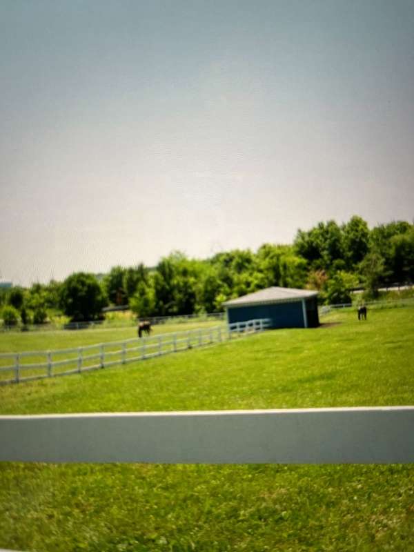 equine-horse-property