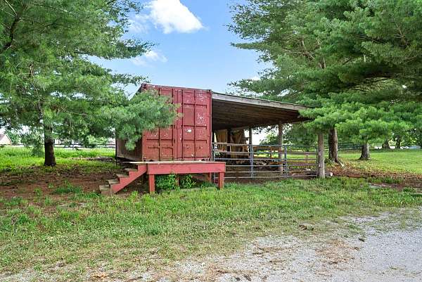 equine-horse-property