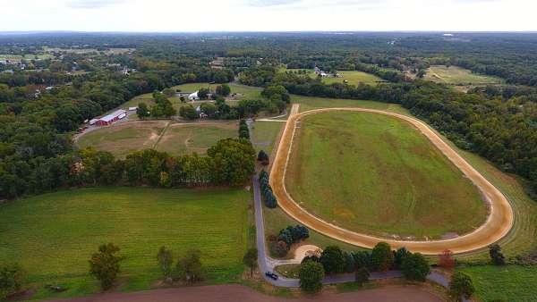 equine-horse-property