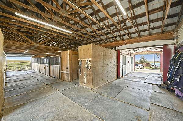 equine-horse-property