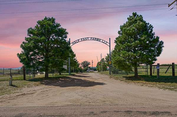 ranch-homes-properties