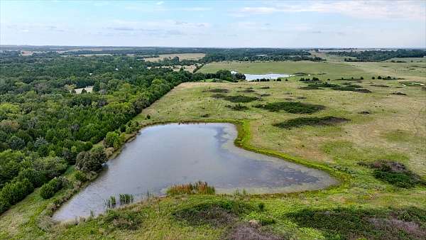 equine-pasture-land