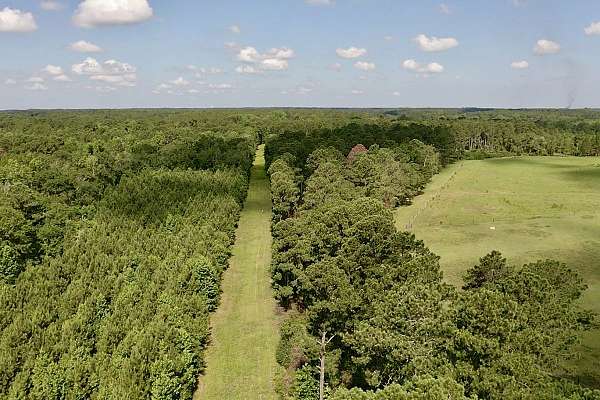 4-bedroom-equine-horse-property