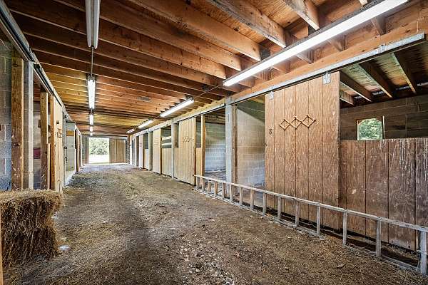 equine-properties-for-sale-in-gerrardstown-wv