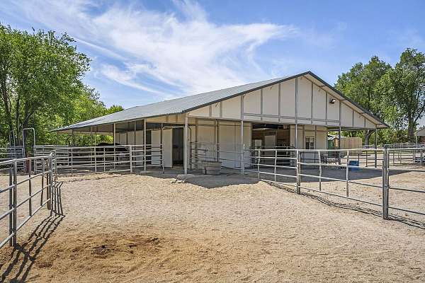 4-bedroom-equine-properties-in-reno-nv