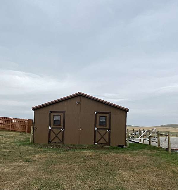 equine-horse-property