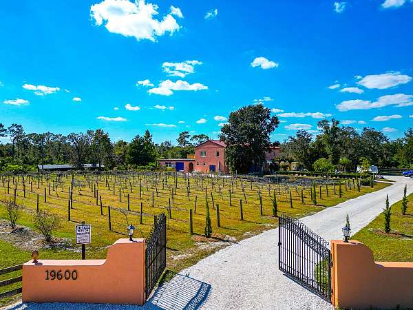 7-bedroom-equine-properties-in-bradenton-fl