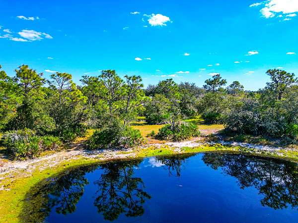 equine-properties-for-sale-in-bradenton-fl