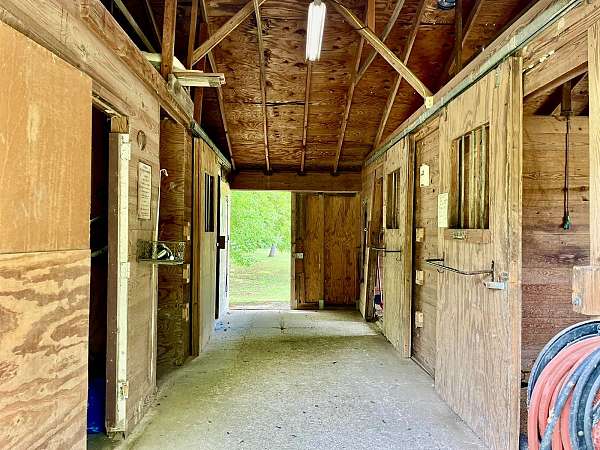 equine-horse-property-in-texas