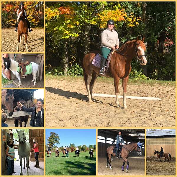 dressage-businesses-in-epping-nh