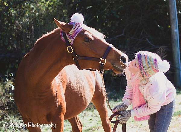 endurance-businesses-in-willard-nc