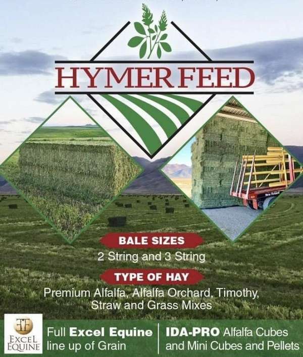 equine-feed-supply