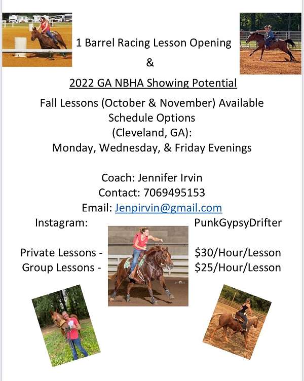 barrel-racing-show-horse-equine-service