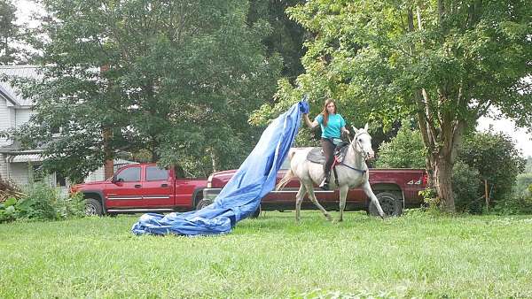 trail-businesses-in-wanamingo-mn