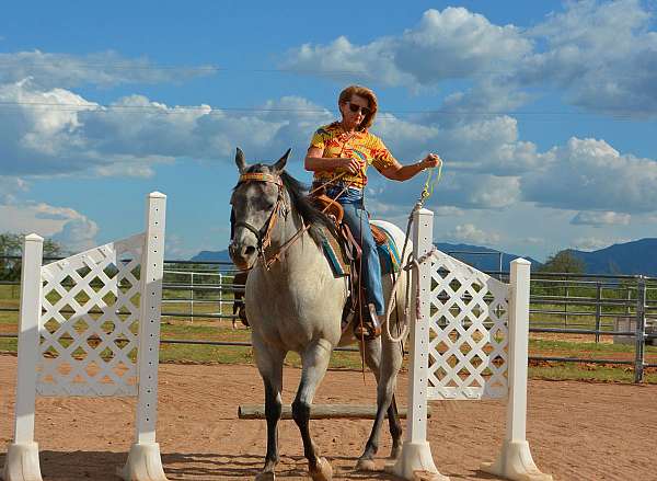 trail-pleasure-horse-riding-lessons