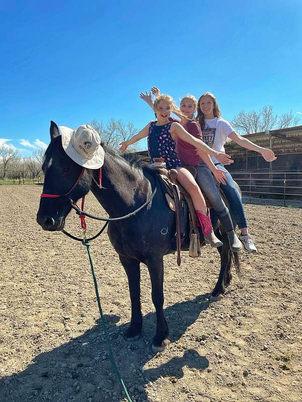 horse-riding-lessons-in-cody-wy