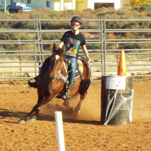 barrel-racing-businesses-in-dewey-az