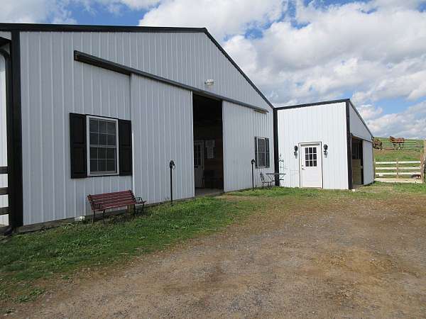 horse-boarding-in-rural-retreat-va