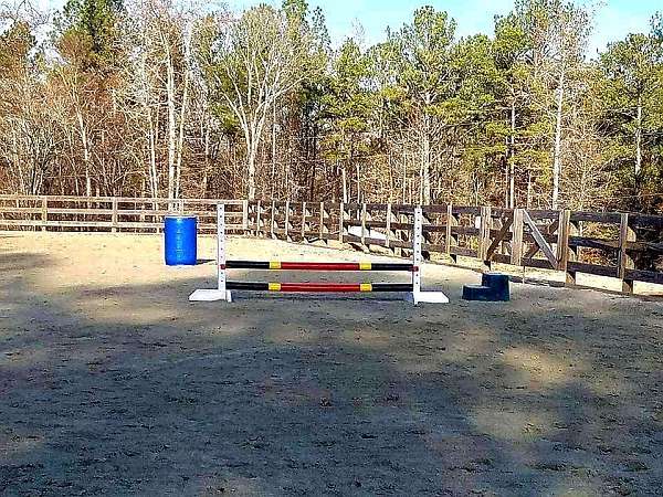 horse-boarding-in-newnan-ga