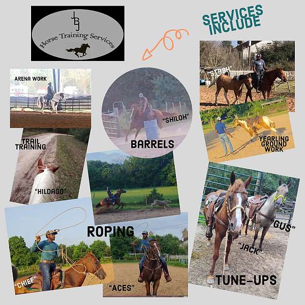 barrel-racing-businesses-in-huntsville-tx