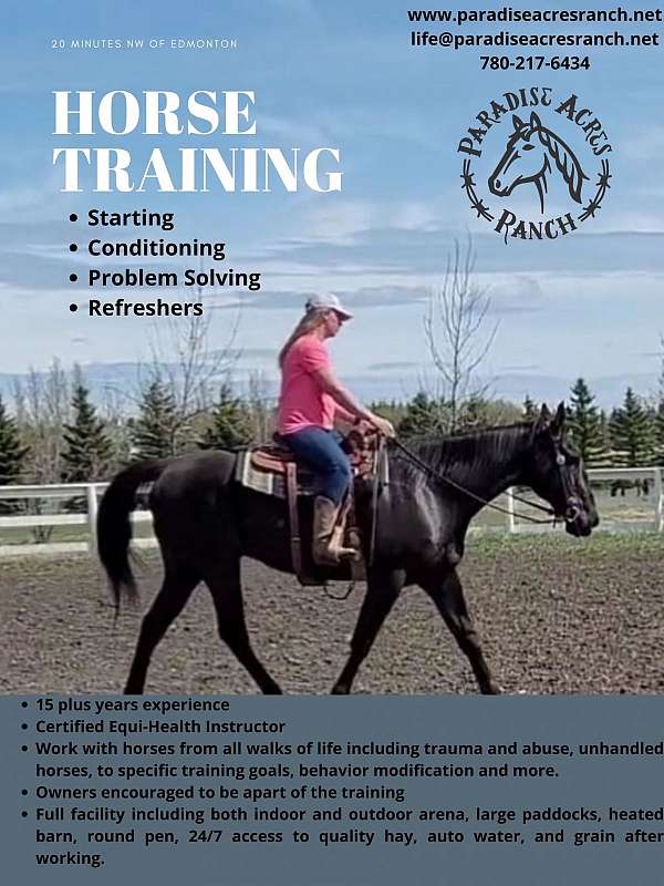 horse-trainers-in-sturgeon-county-ab