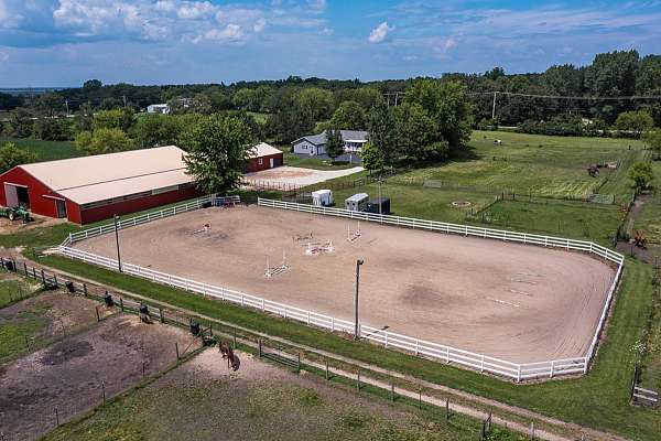 all-around-purpose-horse-boarding