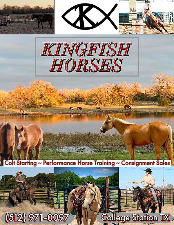 reining-businesses-in-texas