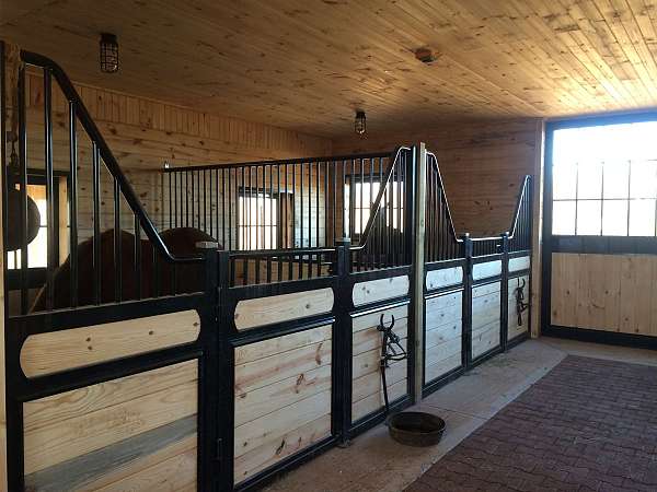 horse-boarding-in-warrenton-va