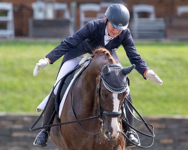 dressage-businesses-in-ashby-ma
