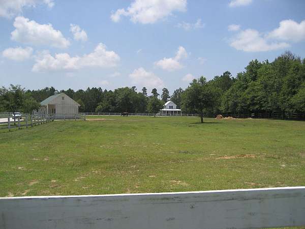 equine-boarding