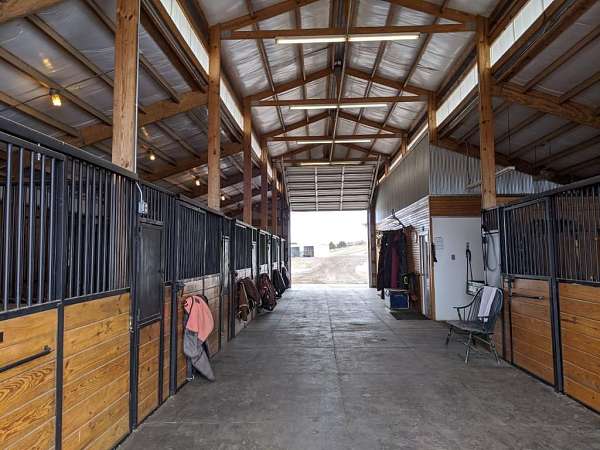 horse-boarding-in-elizabeth-co