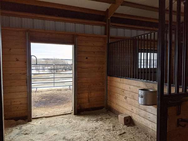 equine-boarding