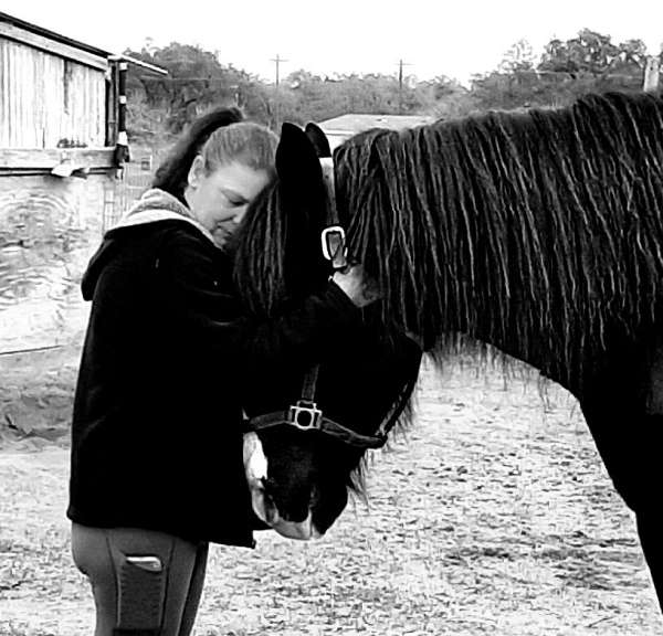 horse-boarding-in-devine-tx