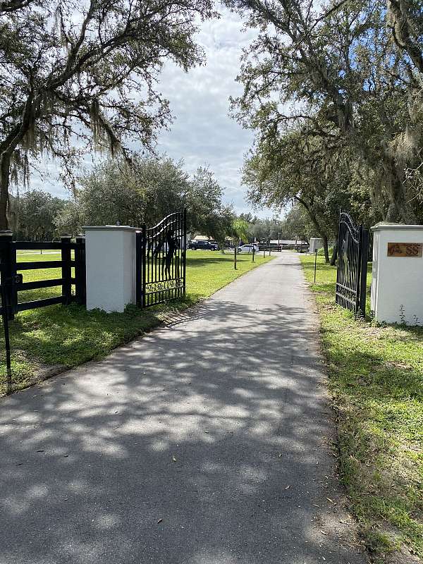 horse-boarding-in-sanford-fl