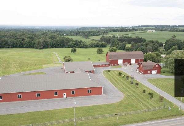 horse-boarding-in-canastota-ny