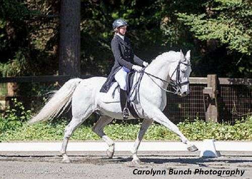 dressage-businesses-in-washington