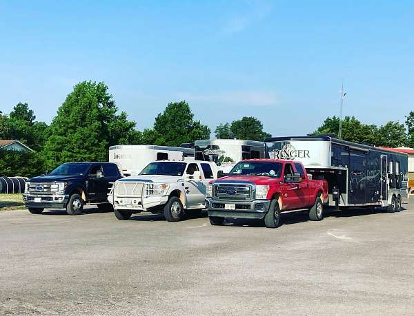 horse-transport-in-floyd-va