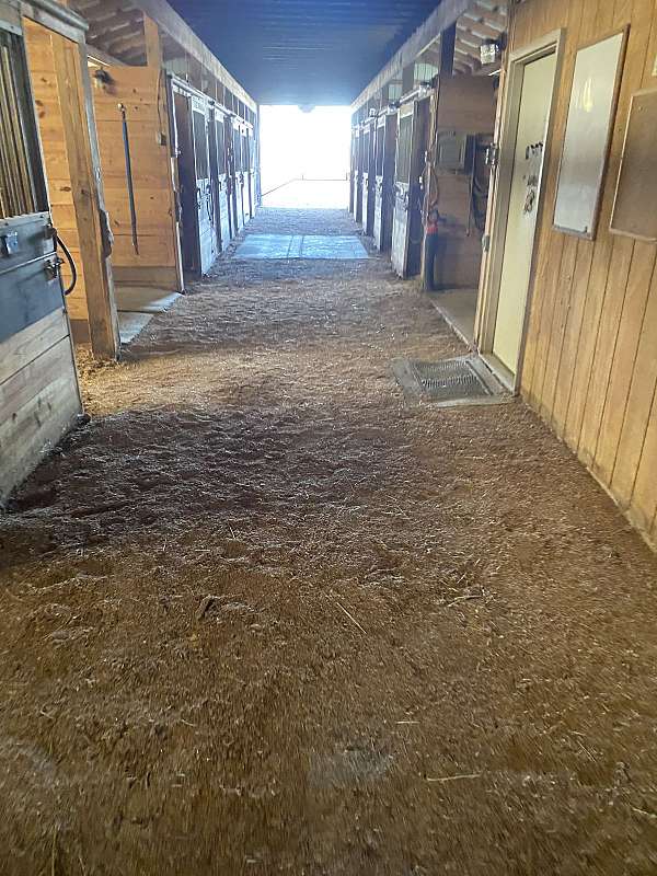 equine-boarding